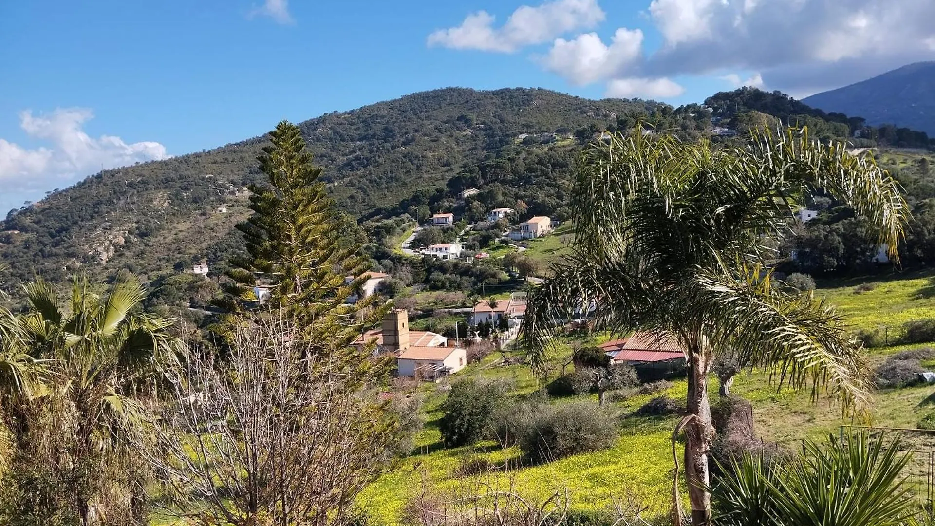 Appartamento Casa Delle Palme Cefalù Italia