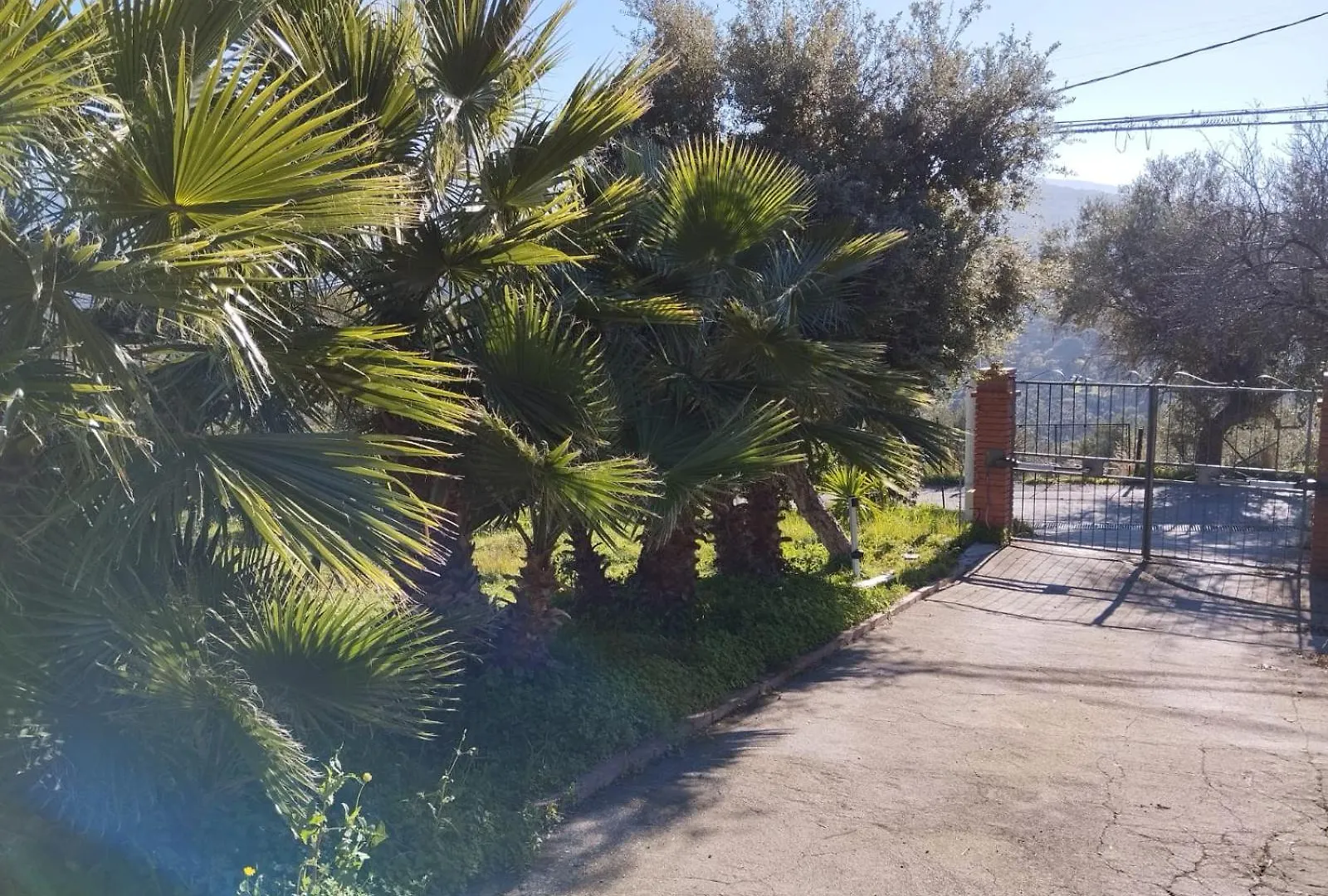 Appartamento Casa Delle Palme Cefalù