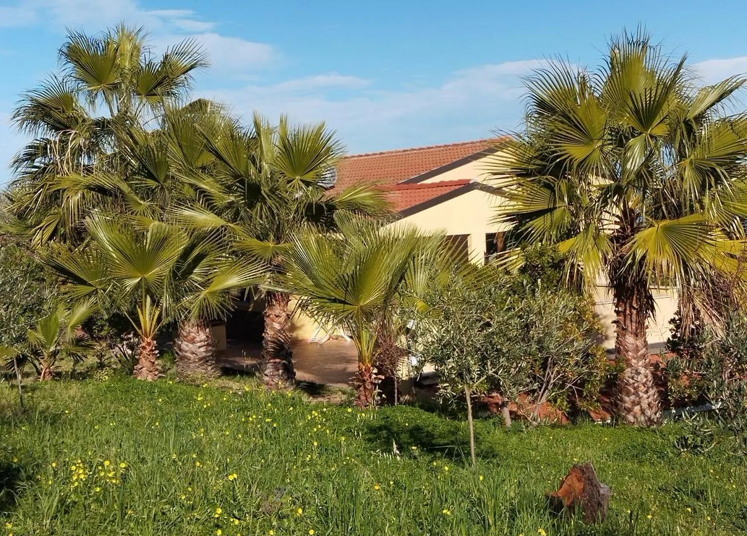 Appartamento Casa Delle Palme Cefalù